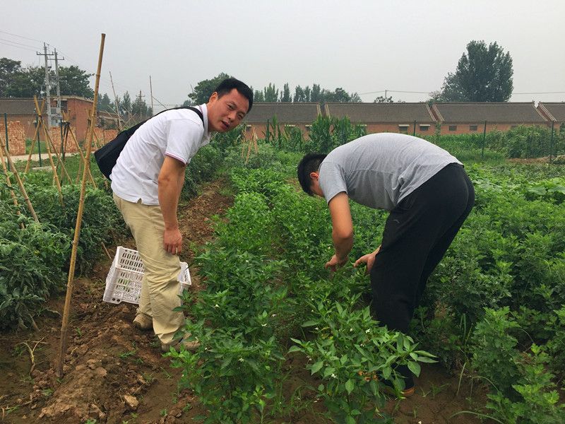 好利來郭總喊您來摘菜啦！綠色無公害，放心！